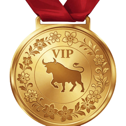 Goldene Medaille mit feiner Gravur des VIP-Levels Maestra